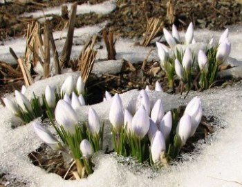 mud_season_snow-500x375